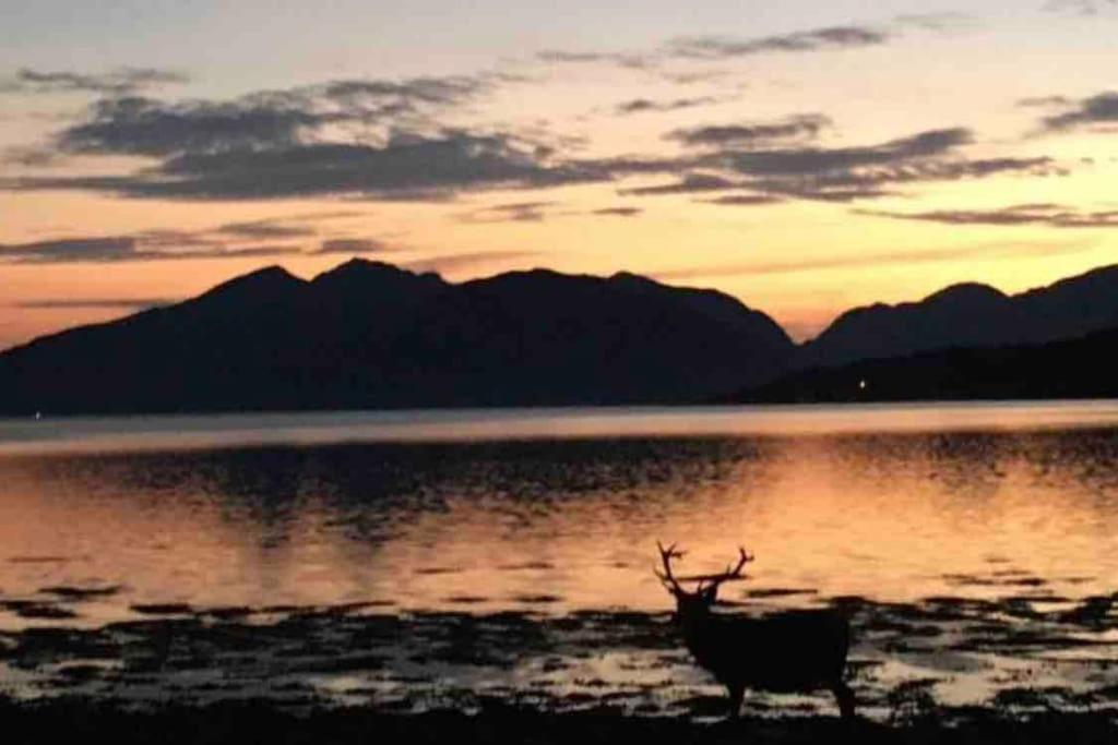 The Fox'S Den, Luxury Cosy Mini Lodge, Highlands North Ballachulish المظهر الخارجي الصورة