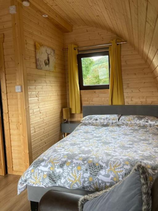 The Fox'S Den, Luxury Cosy Mini Lodge, Highlands North Ballachulish المظهر الخارجي الصورة