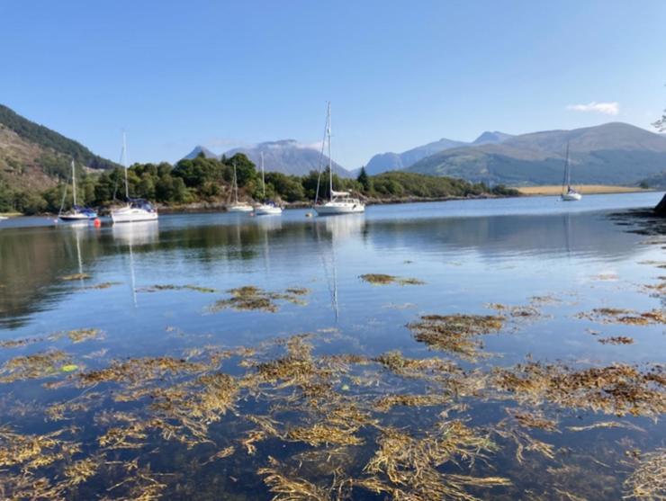 The Fox'S Den, Luxury Cosy Mini Lodge, Highlands North Ballachulish المظهر الخارجي الصورة